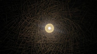 生态艺术治疗｜夜游“心巢·归源”生态疗愈花园